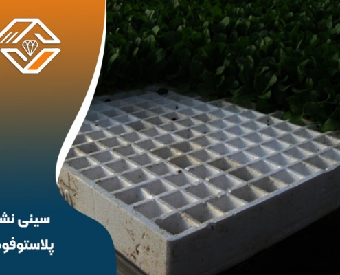 سینی نشا پلاستوفوم