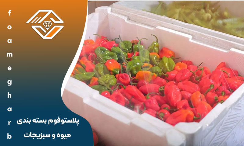 پلاستوفوم بسته بندی میوه و سبزیجات