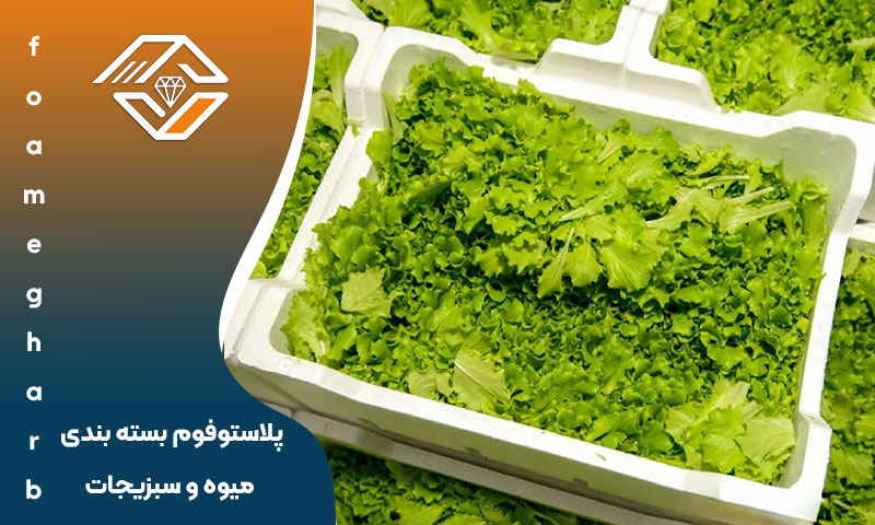پلاستوفوم بسته بندی میوه و سبزیجات