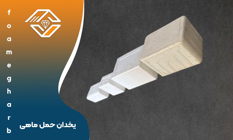 یخدان حمل ماهی