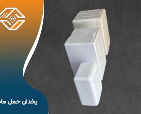 یخدان حمل ماهی