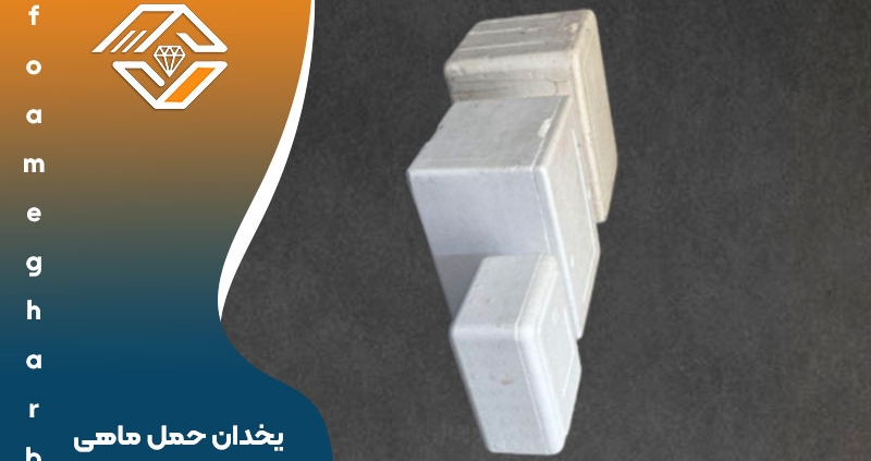یخدان حمل ماهی