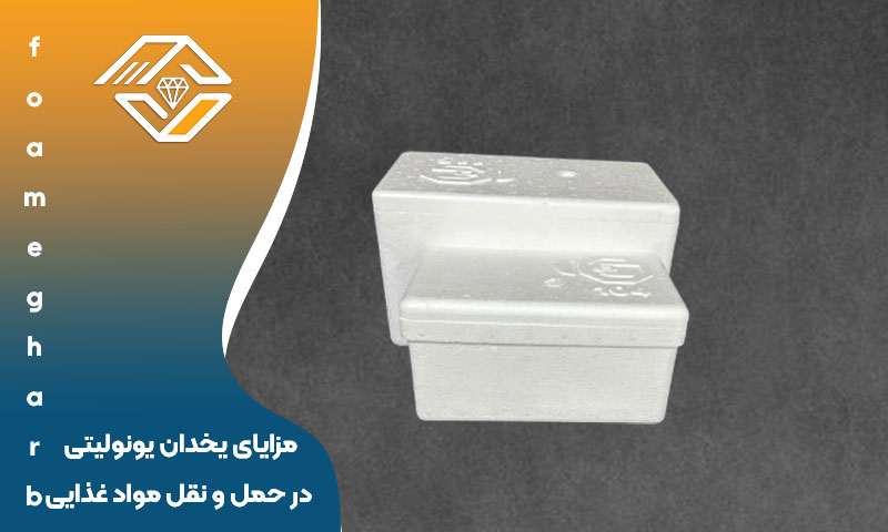مزایای یخدان‌ یونولیتی در حمل و نقل مواد غذایی