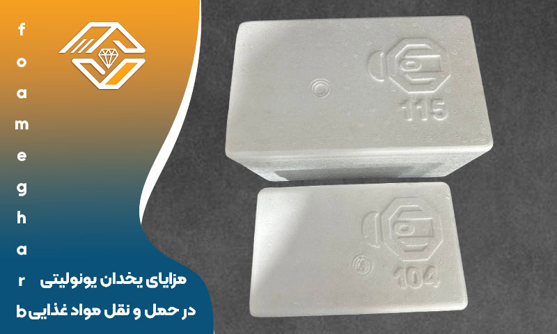 مزایای یخدان‌ یونولیتی در حمل و نقل مواد غذایی