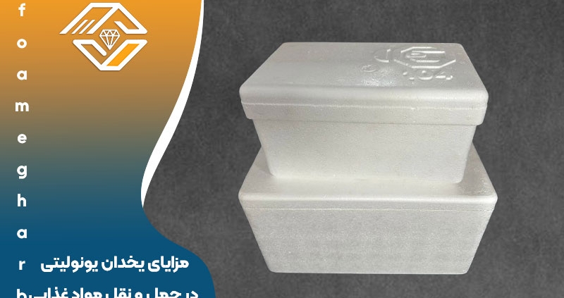 مزایای یخدان‌ یونولیتی در حمل و نقل مواد غذایی