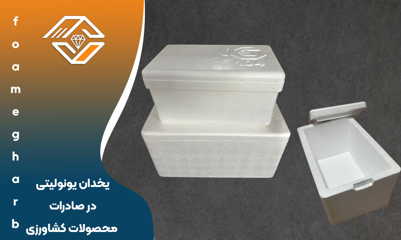 یخدان حمل کلم بروکلی