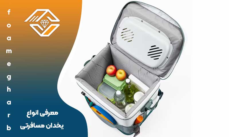 یخدان برقی برای مسافرت
