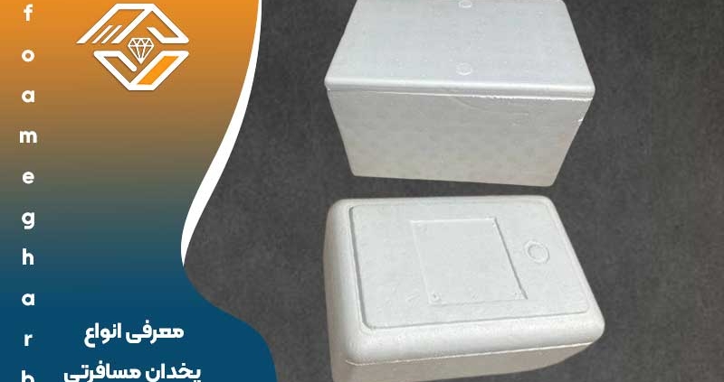 معرفی انواع یخدان مسافرتی